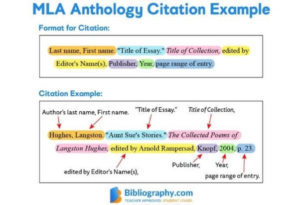 in text cite speech