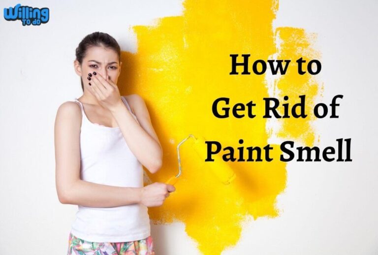 How to Get Rid of Paint Smell in 10 Marvel Tricks You Never Knew Yet