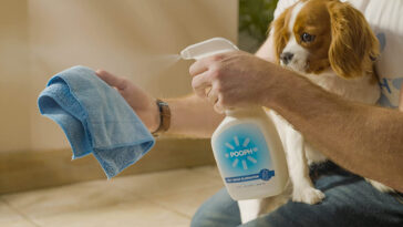 Pooph Reviews Uplifting Your Cleaning Game