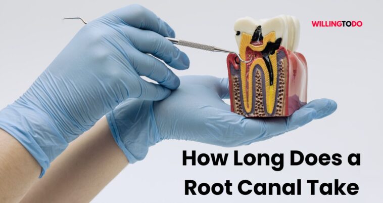 How Long Does a Root Canal Take