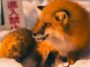 names that would fit a kitsune