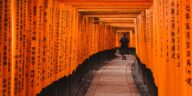 names that fit a kitsune male