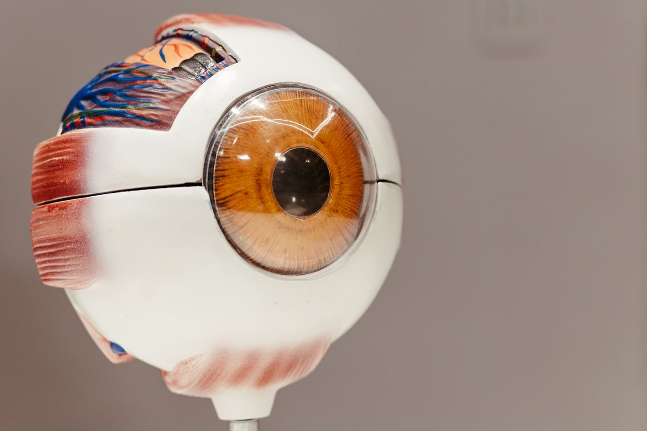 Vertex distance explains why light bends differently through glasses than through contact lenses.