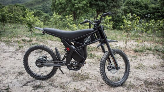 dual motor e bike