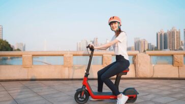 roinside e scooter