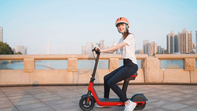 roinside e scooter