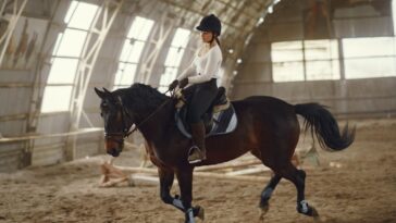 how to communicate with a horse while riding​