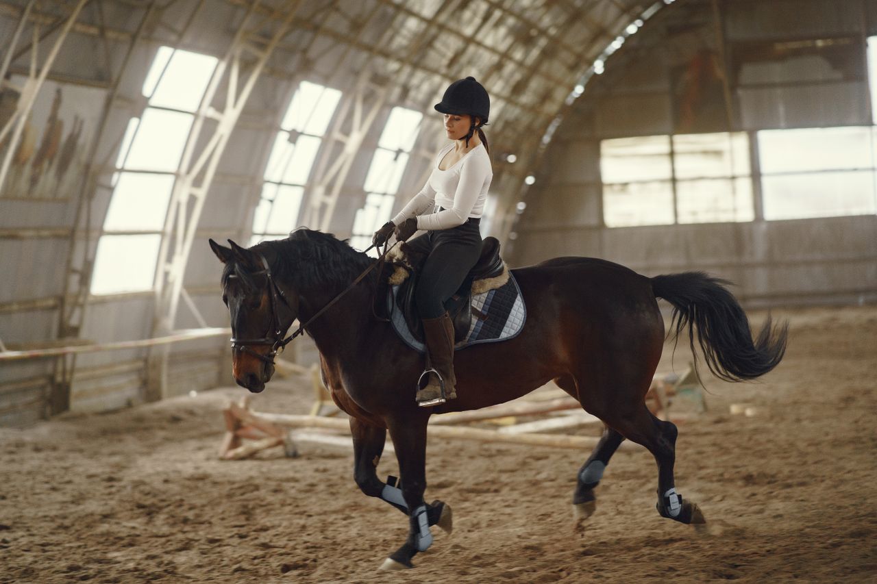how to communicate with a horse while riding