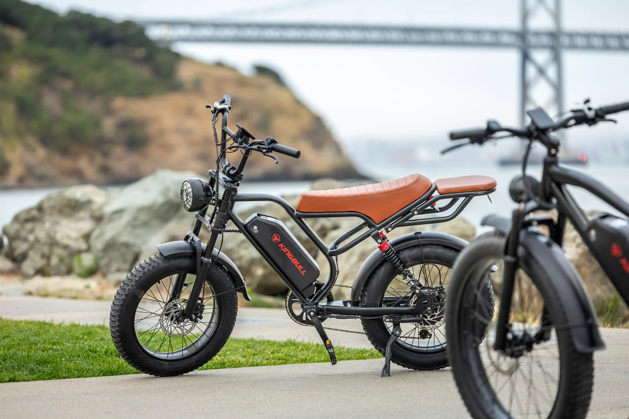 wire freedom e bike
